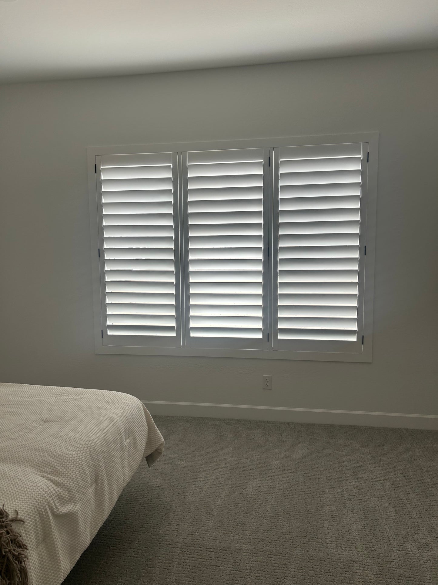 Rush Real Wood Plantation Shutters
